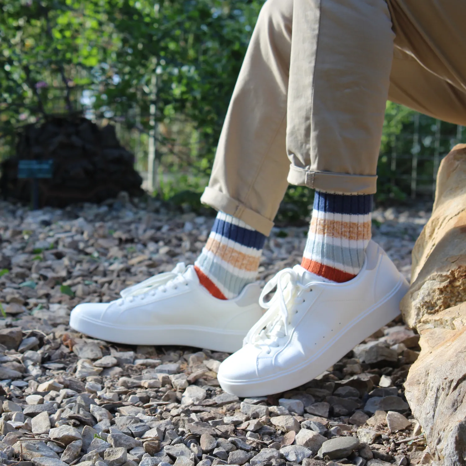 Men's Pantone Stripe Pure Cotton Socks